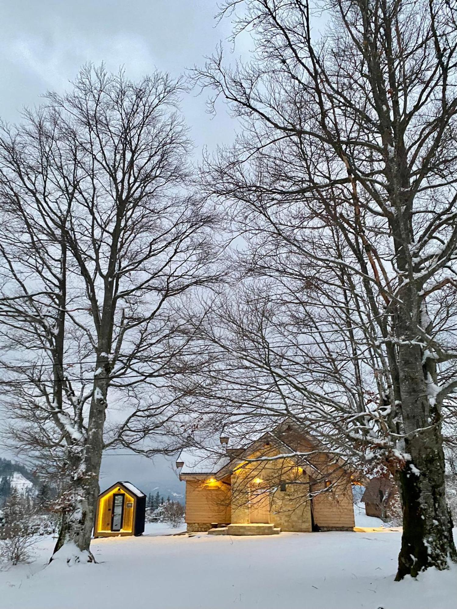 Planinska Koliba Exclusive Villa Sekulic Exteriör bild